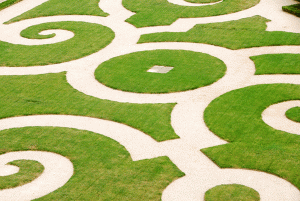circular-shapes-in-the-lawn