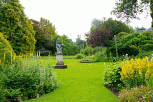 the-lawn-as-relief-between-planting